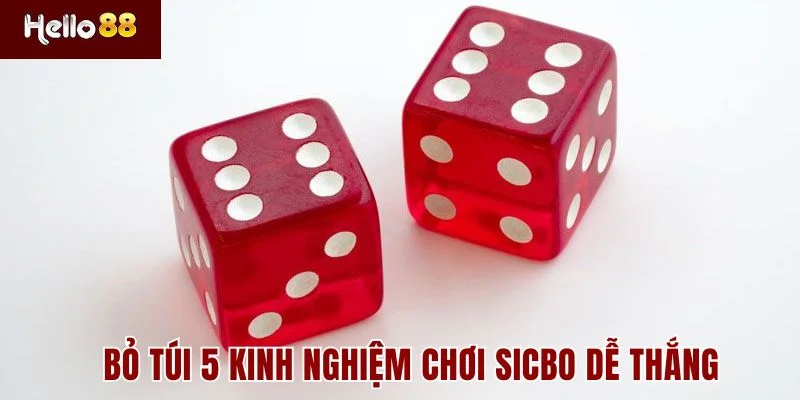 Tài Xỉu HELLO88 - Toàn Tập Về Luật Chơi và 5 Mẹo Cược Tài Xỉu HELLO88 - Toàn Tập Về Luật Chơi và 5 Mẹo Cược