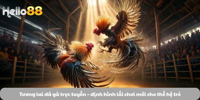 Đá Gà - Cơn Sốt Giải Trí Đang Định Nghĩa Đam Mê Đấu Trường Đá Gà - Cơn Sốt Giải Trí Đang Định Nghĩa Đam Mê Đấu Trường