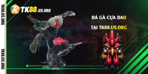 Game Online - kahupo.live