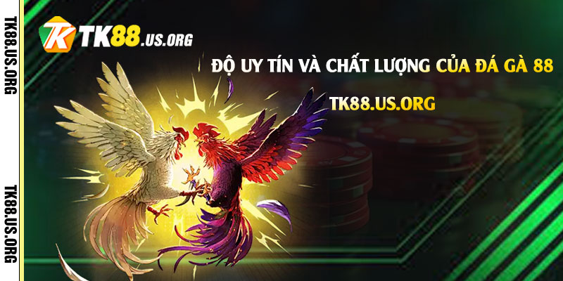 Đá Gà 88 - Trang Đá Gà Tại Tk88 Uy Tín Chất Lượng Nhất