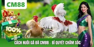 Đá Gà CM88 – Thế Giới Chiến Kê Đỉnh Cao, Cá Cược Kịch Tính
