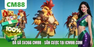 Đá Gà CM88 – Thế Giới Chiến Kê Đỉnh Cao, Cá Cược Kịch Tính