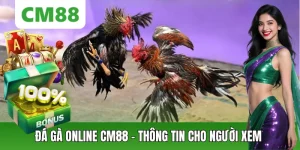 Đá Gà CM88 – Thế Giới Chiến Kê Đỉnh Cao, Cá Cược Kịch Tính